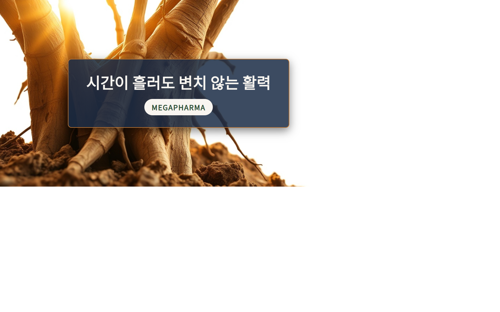 페루산 마카, 시간이 흘러도 변치 않는 활력을 지키다 | 품종별 효능·안전한 섭취법 완벽 가이드