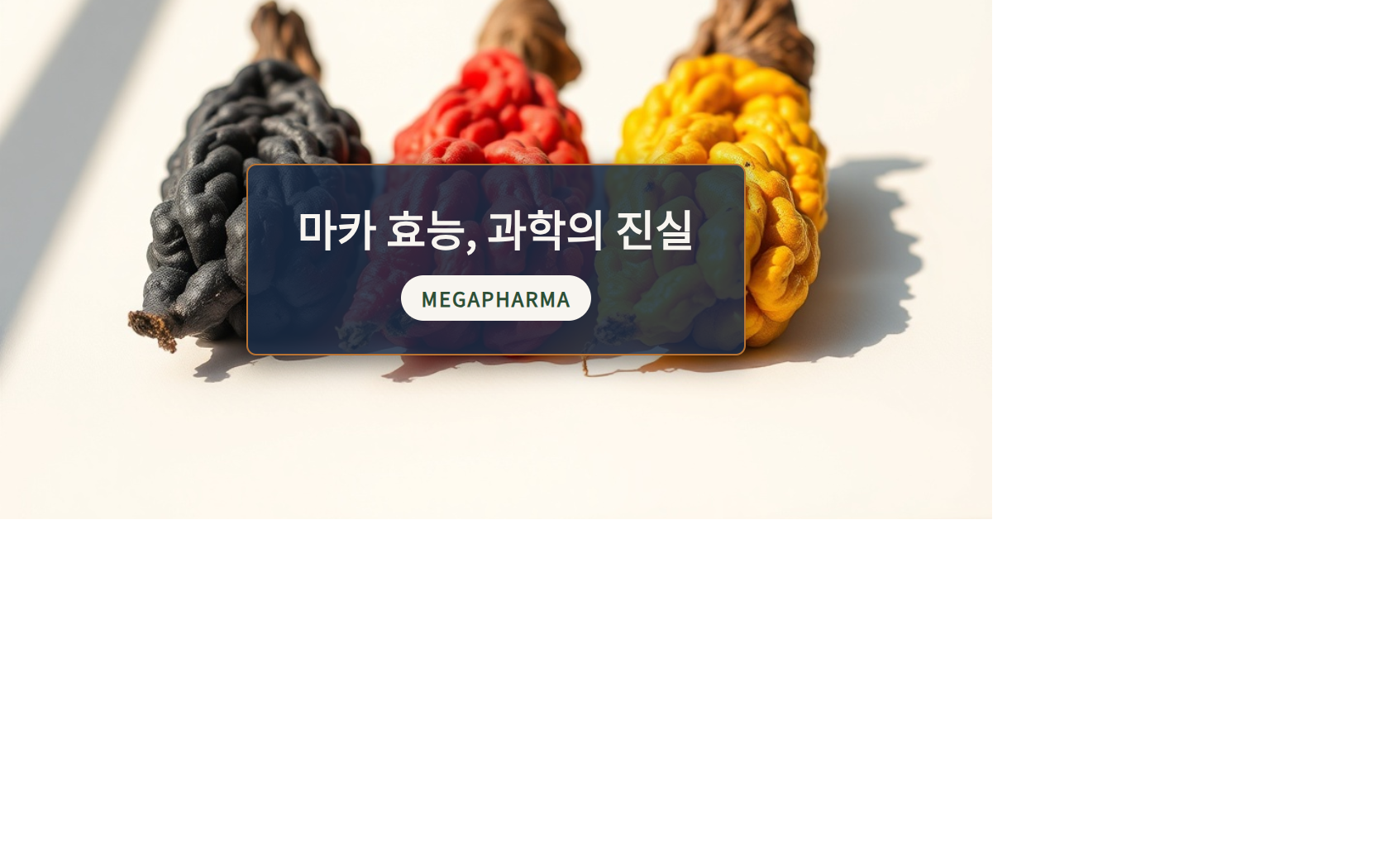 페루산 마카 효능, 과학이 말하는 진실 – 30~50대를 위한 냉정한 가이드